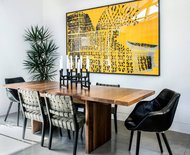 уход за драценой в домашних условиях