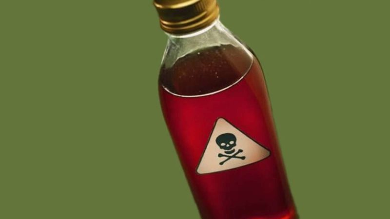 как избавиться от тараканов в квартире 