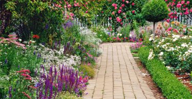 садовые дорожки