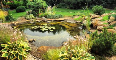 пруд на даче