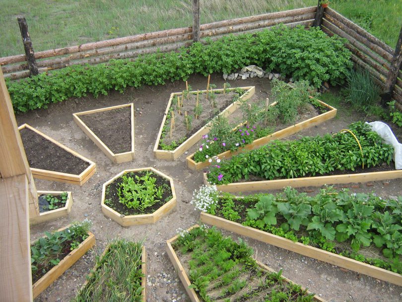 Вау-идеи: 8 красивых примеров оформления грядок на огороде