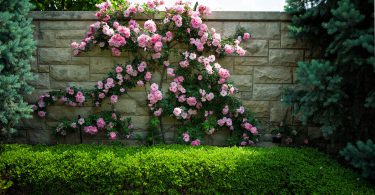 красивые заборы для частных домов