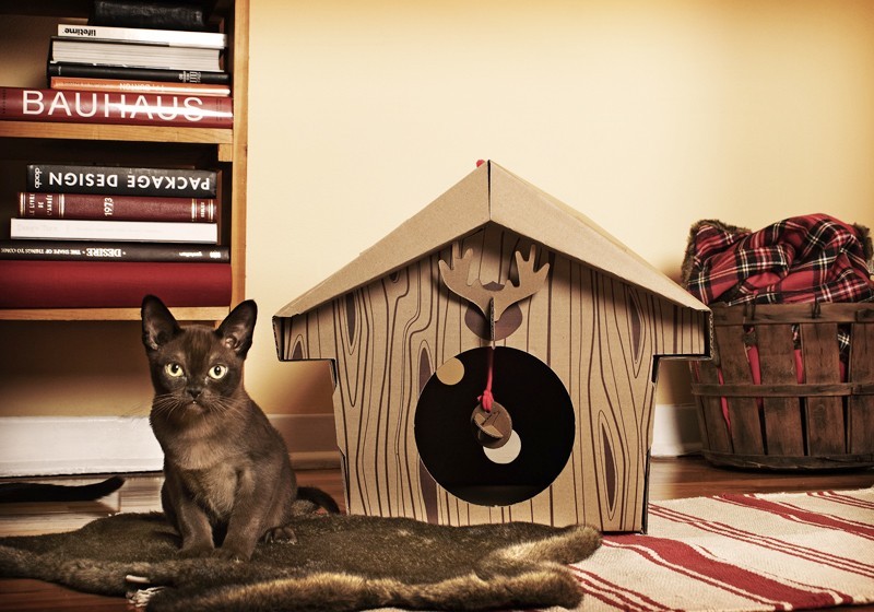 Домики для котов