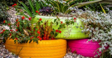 Клумбы во дворе частного дома