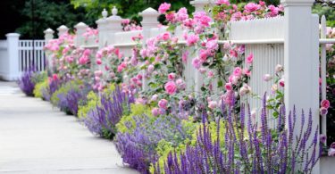 во дворе частного дома