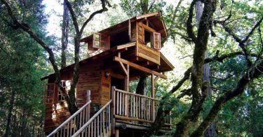 Дом на дереве