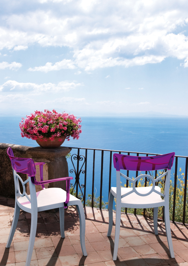 Герань фото