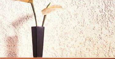 Штукатурка «короед»