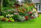 Офорлмение клумбы возле дома своими руками
